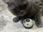 Pet Training Bell for Dogs & Cats