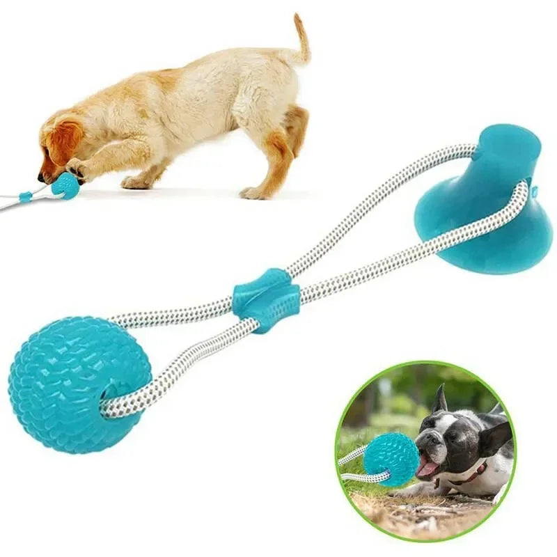Suction Cup Dog Toy with TPR Ball