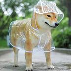 Transparent Pet Raincoat