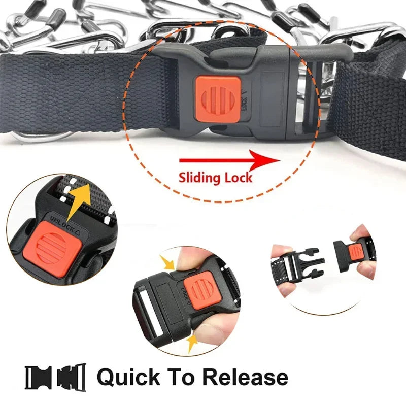 Dog Training Prong Collar