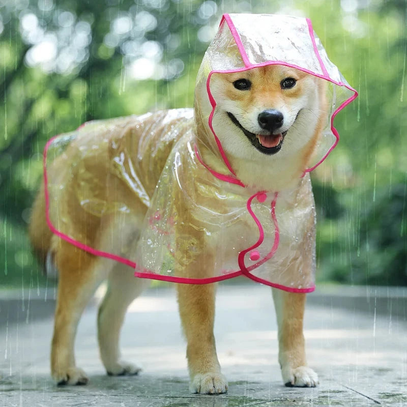 Transparent Pet Raincoat