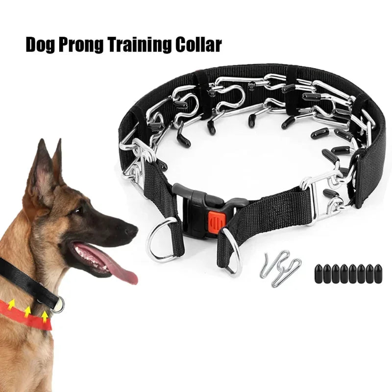 Dog Training Prong Collar