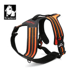 Sport Reflective Dog Harness