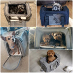Airline Approved Pet Carrier Bag