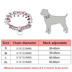 Training Collar with Protective Rubber Tips