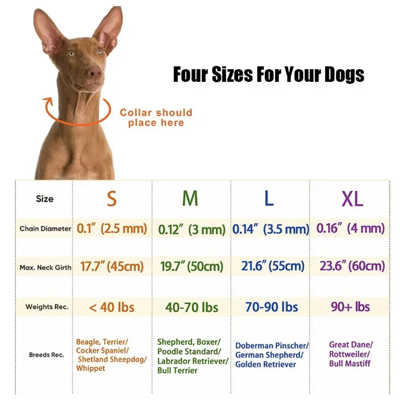 Dog Training Prong Collar