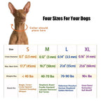 Dog Training Prong Collar