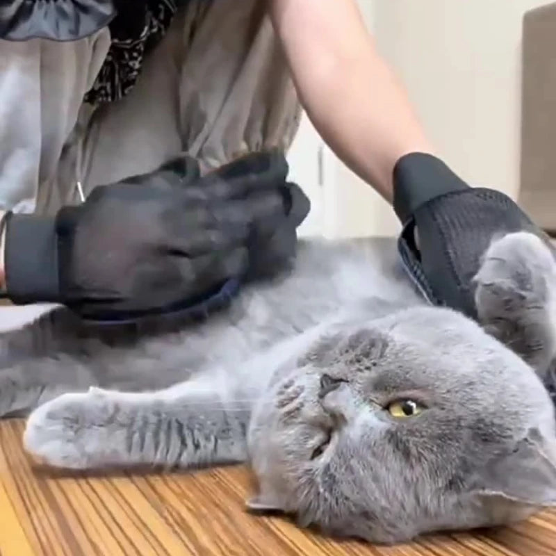 Pet Grooming Glove