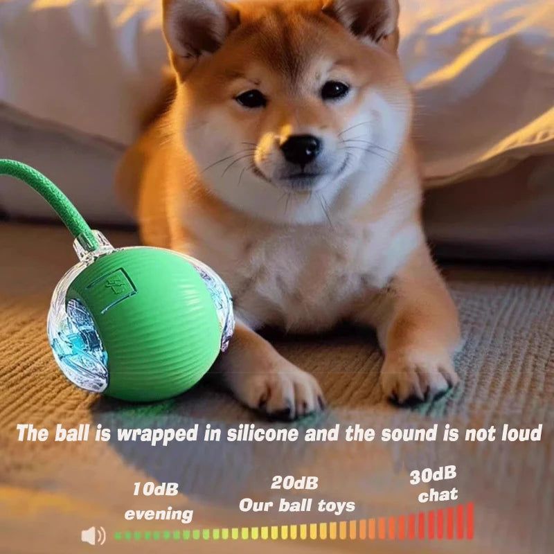 Smart Interactive Dog Ball