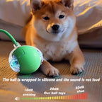Smart Interactive Dog Ball