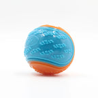 Interactive Squeaky Dog Ball