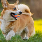 Rubber Dog Fetch Ball