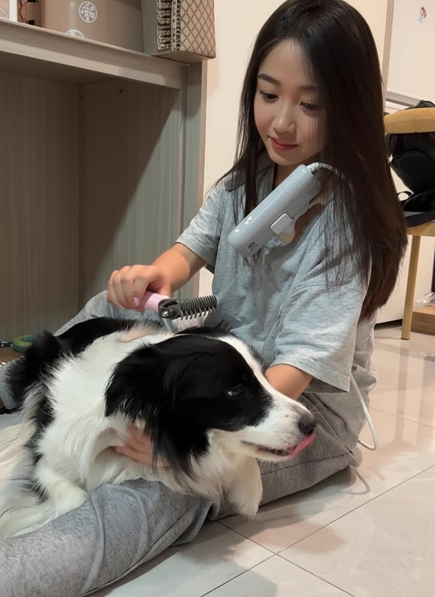 1300W Negative Ion Pet Hair Dryer