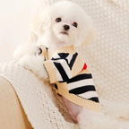 Luxury Teddy Bear Cardigan Sweater for Dogs & Cats